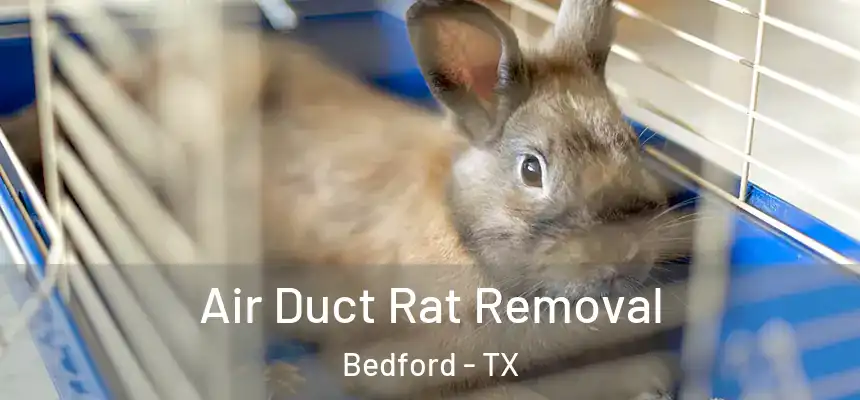  Air Duct Rat Removal Bedford - TX