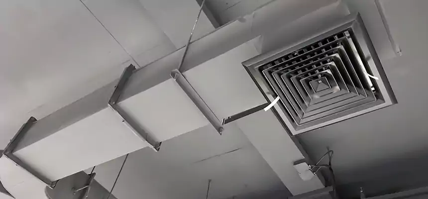 Restorative Allergy Relief Vent Cleaning – Coil, Blower & Housing Detail in Bedford