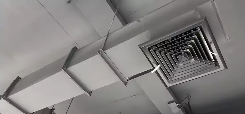 Our Rodent Droppings In Vents Services in Bedford, TX