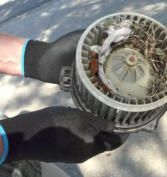 About Air Duct Rat Removal in Bedford, TX