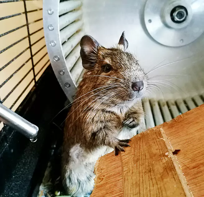 Why Homeowners & Businesses Trust Us Bedford, TX?